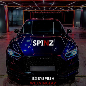 SPINZ