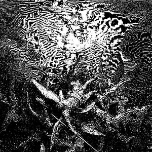 when to stay out (feat. ECCO2K)