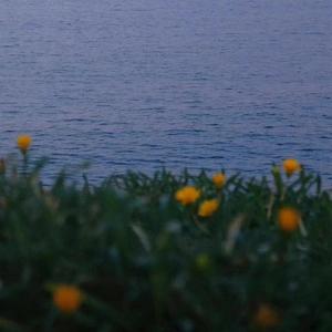 史诗振奋企业宣传记录片大气开场背景音乐