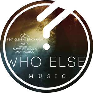 Why (Andy Weisbrod Remix)