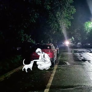 濯枝雨
