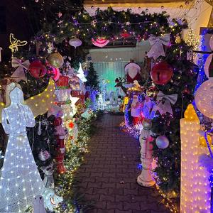 Weihnachtszeit ist leide zeit