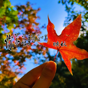 你不在身边在心里