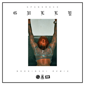 Gully (Brodisnki Remix)