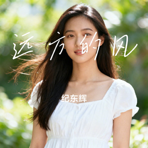 远方的风