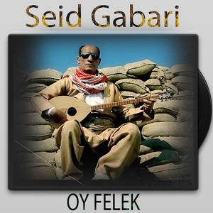 Oy Felek