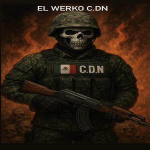 EL WERKO CDN