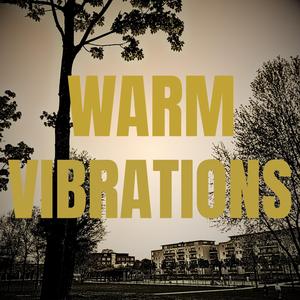 WARM VIBRATIONS