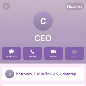 CEO