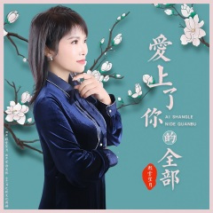 爱上了你的全部(DJ)