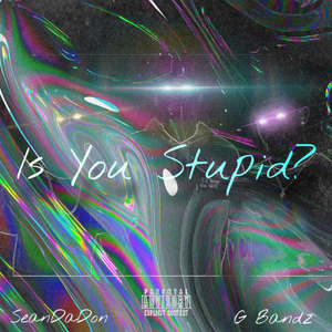 Is You Stupid?