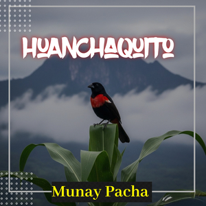 Huanchaquito