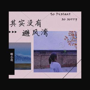 其实没有避风湾