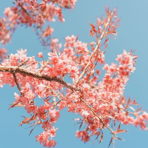 夢を伴って冒険へ