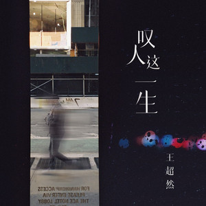 叹人这一生 (DJ九零版)