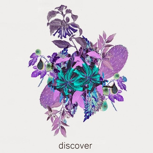 Discover