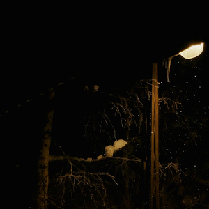 우린 왜 그토록 사랑했나요