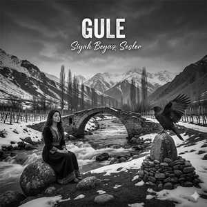 Gule
