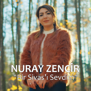 Bir Sivas'ı Sevdim