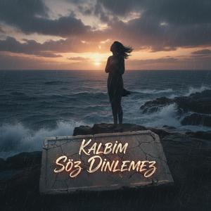 Kalbim Söz Dinlemez (feat. Ali Akın)