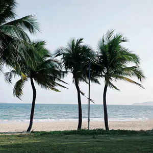 Special March(Radio Edit)