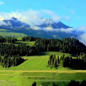 灰姑娘 （Cover 郑钧）