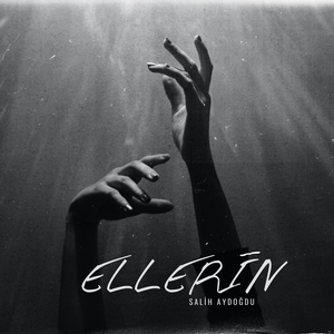 Ellerin