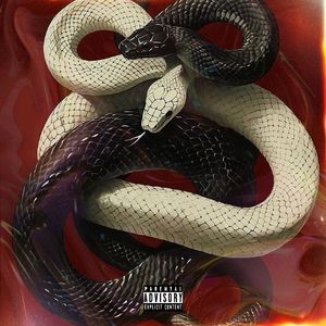 Keepin’ Zoom Save Me（Remix）