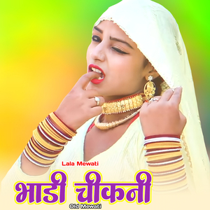 भाडी चीकनी ओल्ड मेवाती