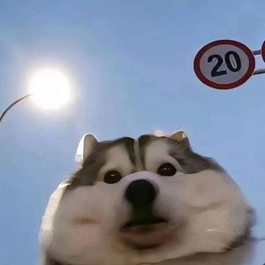 无人的海边_202349_202355_track0_202355(1)