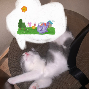 猫先生的信