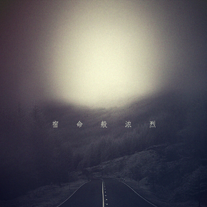 我不想再写悲伤的歌（Cover 赵方琪）