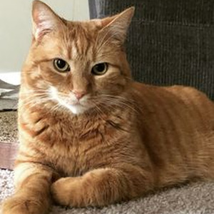 R.A.K.I.M. (sped up)