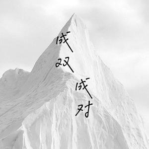 成双成对 | 博君一肖