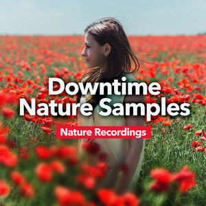 Gentle Rain And Bird Calls