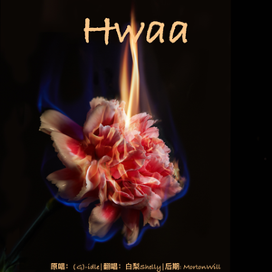 Hwaa火花(中文填翻)-副歌填词.ver