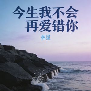 今生我不会再爱错你(伴奏)