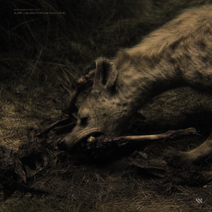 Bosque de Niebla (Dj Stingray 313 Remix)