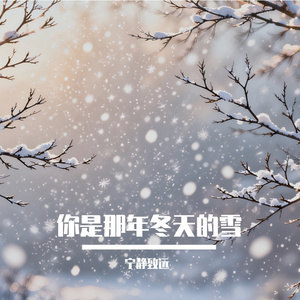 你是那年冬天的雪