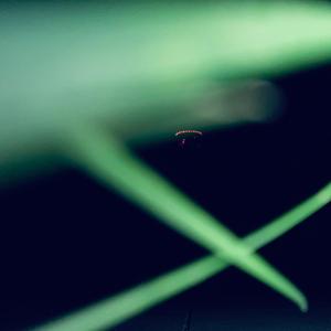 A c t u a l F r e e s t y l I n g (feat. Nate Scheffler)