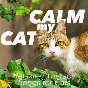 Calming Music for Cats