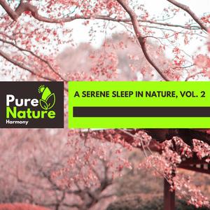 Beautiful Burning Flames