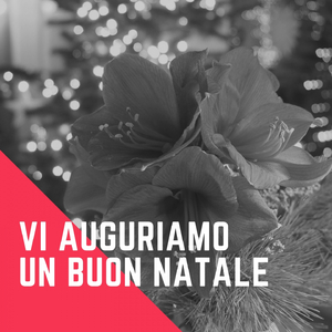 All I Want For Christmas Is My Two Front Teeth