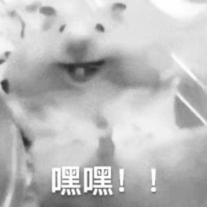 耗子（**院lpp DISS BACK PROD BY.ANARKY)