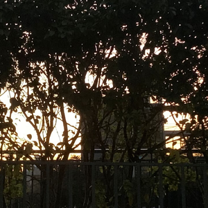 To be（Prod EVOMUSIC）