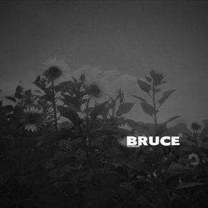 乌云遮住了我的向日葵prod.Lakewavebeats x suli