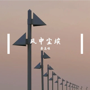 风中尘埃