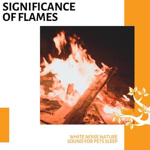 Nature Love and Rain Forest