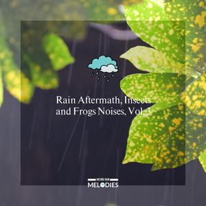 Melancholic Insects & Frogs