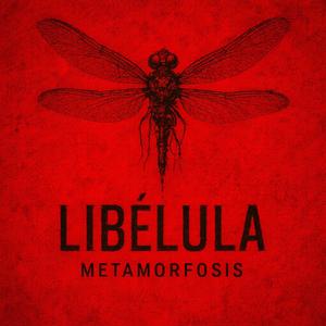 Donnie Darko (feat. Nitza & Tetsu)